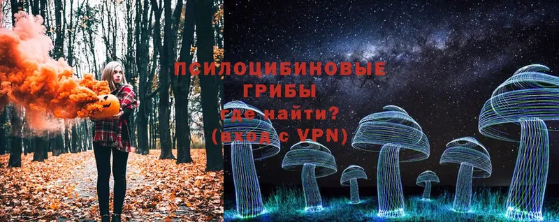 Псилоцибиновые грибы Magic Shrooms  Нестеровская 